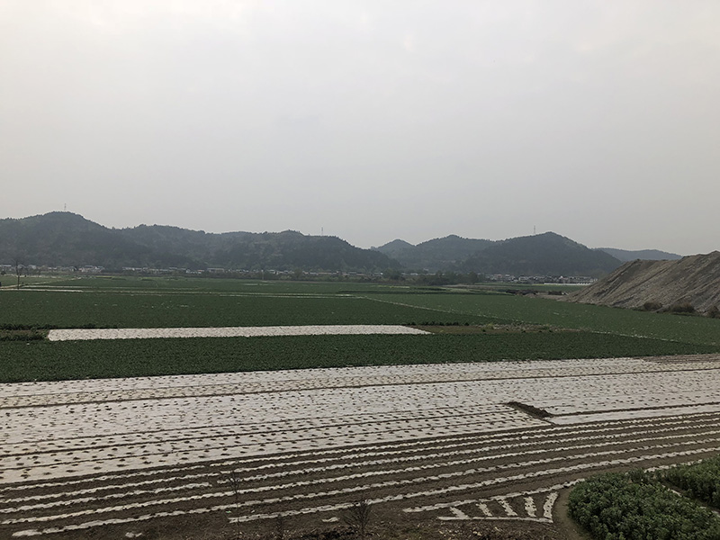 市、縣領導現場調研天馬50萬噸玻瓶項目(圖7) 市、縣領導現場調研天馬50萬噸玻瓶項目(圖7)