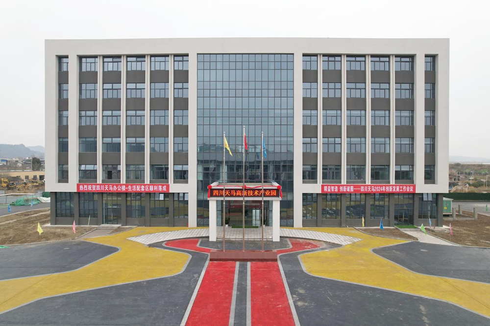 精益智造，創(chuàng)新破圈 | 四川天馬2024年創(chuàng)新發(fā)展工作會(huì)議成功召開(kāi)(圖16)