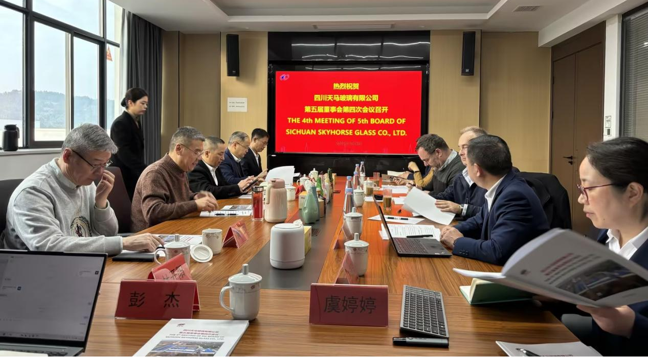 共創造，共美好 | 四川天馬召開2025年度工作會議(圖14)